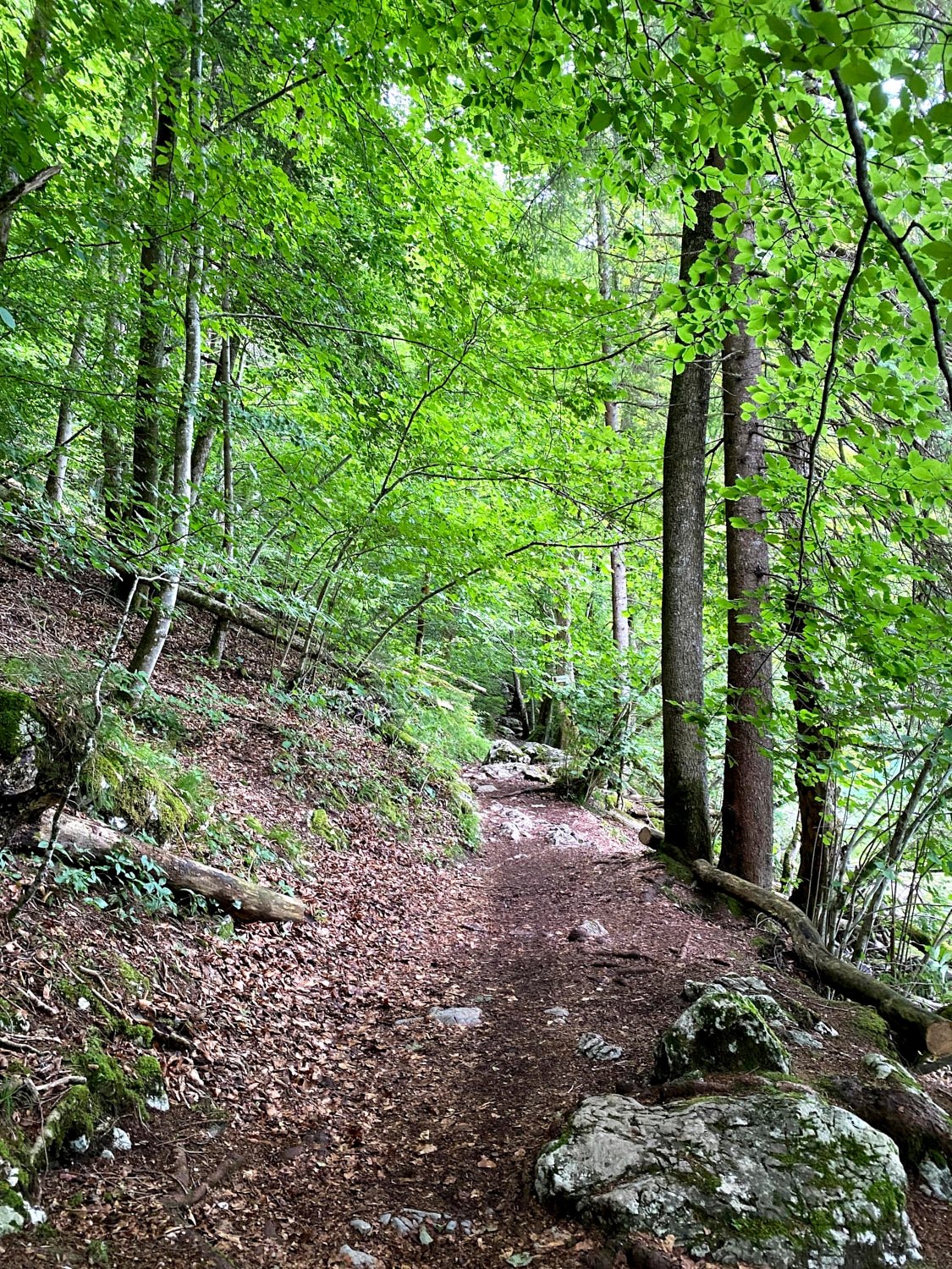 Path to Rabenwand